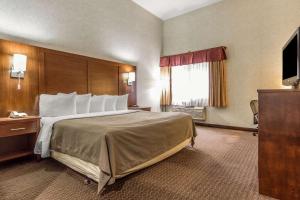 Voodi või voodid majutusasutuse Quality Inn San Jose toas