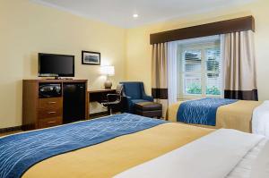 Gallery image of Comfort Inn Monterey Peninsula Airport in Monterey