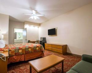 ein Hotelzimmer mit einem Bett und einem Flachbild-TV in der Unterkunft Rodeway Inn Encinitas North in Encinitas