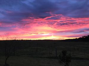 a sunset in a field with the sky at Langleys Port Campbell Hobby Farm in Port Campbell