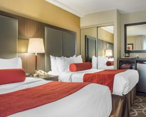 Habitación de hotel con 2 camas con almohadas rojas en Comfort Inn Burlington, en Burlington