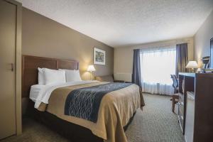 a hotel room with a bed and a window at Comfort Inn Chilliwack in Chilliwack