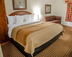 Cama o camas de una habitación en Comfort Inn - Toronto Northeast