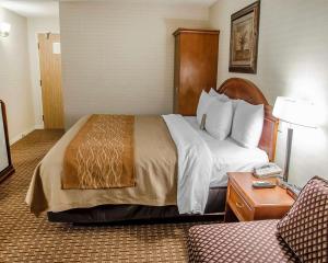 Cama o camas de una habitación en Comfort Inn - Toronto Northeast