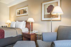 Gallery image of Comfort Inn London - Ontario in London