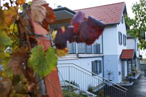 Budova, v ktorej sa ubytovanie bed & breakfast nachádza