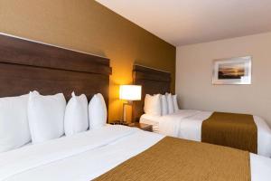 Postel nebo postele na pokoji v ubytování Quality Inn & Suites