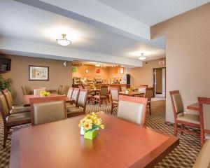 Gallery image of Comfort Inn & Suites in Airdrie