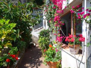 um jardim com flores em vasos num edifício em Villaverde em Positano