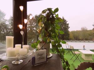 a table with candles and a potted plant on it at Guesthouse La maison de Fille in Diest