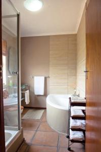 a bathroom with a tub and a shower and a sink at African Game Lodge in Montagu