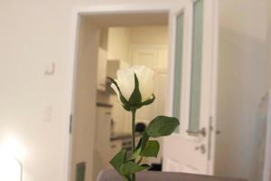 Fotografia z galérie ubytovania Lovely Studio Apartment Volkertmarkt vo Viedni