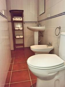 La salle de bains est pourvue de toilettes et d'un lavabo. dans l'établissement Apartamento La Rana, à Séville