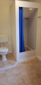 a bathroom with a toilet and a blue shower curtain at Hotel Avano - Pleasure Beach in Blackpool