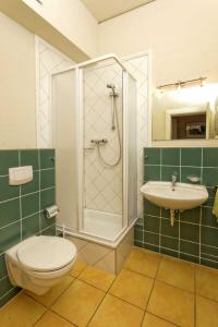 a bathroom with a toilet and a sink at Villa Maria Wohnung 08 in Ostseebad Koserow