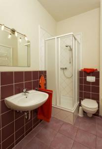 a bathroom with a sink and a shower and a toilet at Villa Maria Wohnung 07 in Ostseebad Koserow