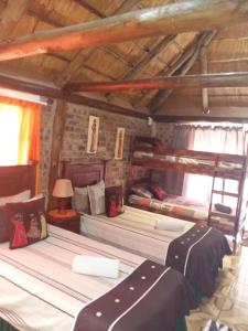 Gallery image of Pride Rock Accommodation in Middelburg