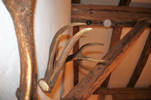 un par de cuernos colgando de una pared en Haus Buchhammer, en Sankt Anton am Arlberg