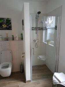a bathroom with a shower and a toilet at Luba in Hillesheim