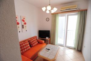 TV a/nebo společenská místnost v ubytování Apartments Knežević