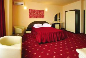 a hotel room with a bed with a red carpet at Hotel Kleyn in Constanţa