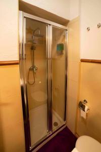 a shower with a glass door in a bathroom at La Bodeguita de Alhama in Alhama de Aragón