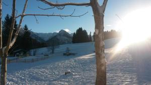 una persona en una pista de esquí en la nieve en Gasthof Seeweg en Oberstdorf