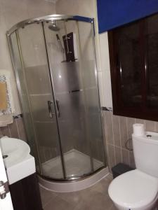 a shower stall in a bathroom with a toilet at Casa cueva de la sombra in Setenil