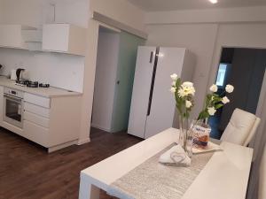 Kuchyňa alebo kuchynka v ubytovaní Apartmán Martin