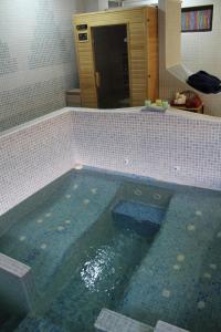 a large pool of water in a bathroom at Casa Rural SPA El Rincón de Palmacio in Pálmaces de Jadraque