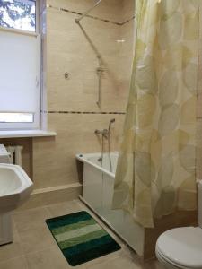 ジェレスノヴォツクにあるДвушка на Мироненкоのバスルーム(シャワー、トイレ、シンク付)