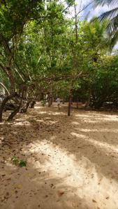 Paesaggio naturale nelle vicinanze dell'appartamento