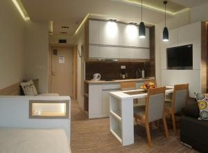 a kitchen and living room with a table and chairs at Apartment Dream Konaci in Kopaonik +24 photos