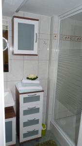 een kleine badkamer met een wastafel en een douche bij Ferienhaus Scheper in Bad Frankenhausen