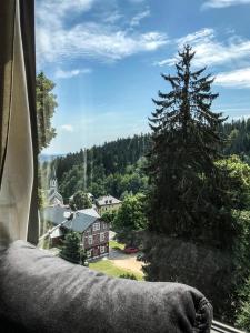 Příroda nedaleko apartmánu