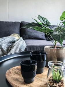 Posezení v ubytování Stylový apartmán přímo u lanovky, vlastní garážové stání