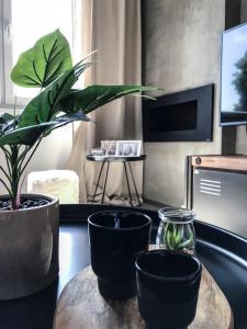 TV a/nebo společenská místnost v ubytování Stylový apartmán přímo u lanovky, vlastní garážové stání