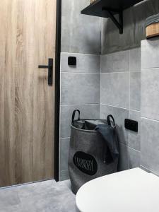 Fotografie z fotogalerie ubytování Stylový apartmán přímo u lanovky, vlastní garážové stání v Janských Lázních