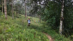 a woman running on a trail through a forest at Gran Camping Cabanas da Fazenda in Visconde De Maua