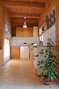 Kuchyň nebo kuchyňský kout v ubytování Ferienhaus Wagner + 6 fotografií