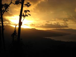 una puesta de sol con un árbol en primer plano en Arenal Garden Lodge, en El Castillo de La Fortuna