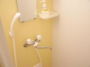 a bathroom with a shower nozzle and a sink at Shinjuku Hostel in Tokyo