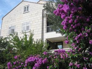 un edificio con flores púrpuras delante de él en Apartments and Rooms Artemida, en Dubrovnik