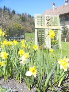 布雷根茨勒策公寓酒店的相册照片 更多42张照片