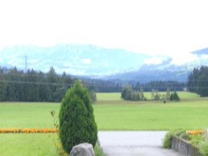 布雷根茨勒策公寓酒店的相册照片