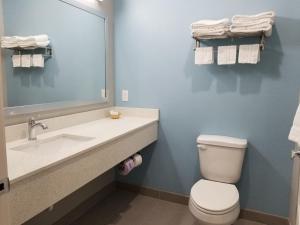 a bathroom with a sink and a toilet and a mirror at The Residency Suites in Houston +13 photos