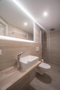 ein Bad mit einem Waschbecken und einem WC in der Unterkunft Apartment Zentral im Herzen der Altstadt in Tübingen