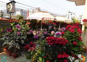 Foto de la galeria de Harvest Moon Guest House a Pokhara