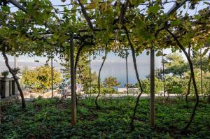 Fotografie z fotogalerie ubytování Rooms Mirjana v destinaci Medveja