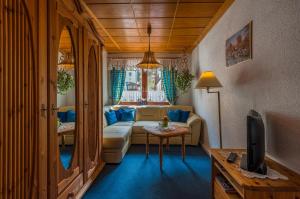 ein Wohnzimmer mit einem Sofa und einem TV in der Unterkunft Pension Fuhrmann's Elb- Café in Bad Schandau